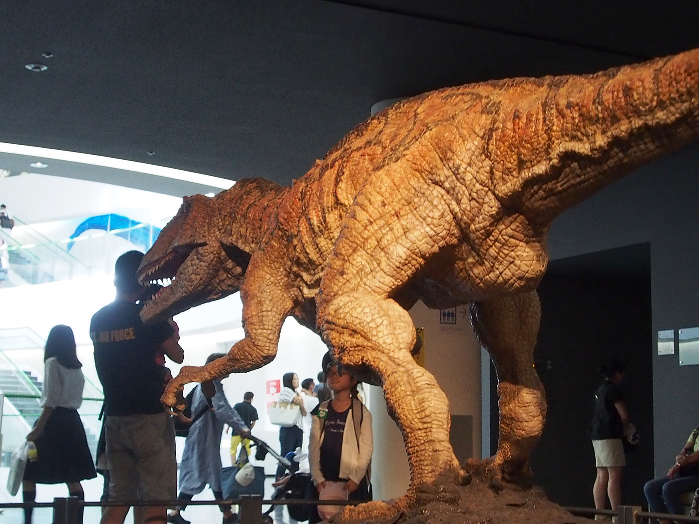 博物館 福井 ツアー 恐竜